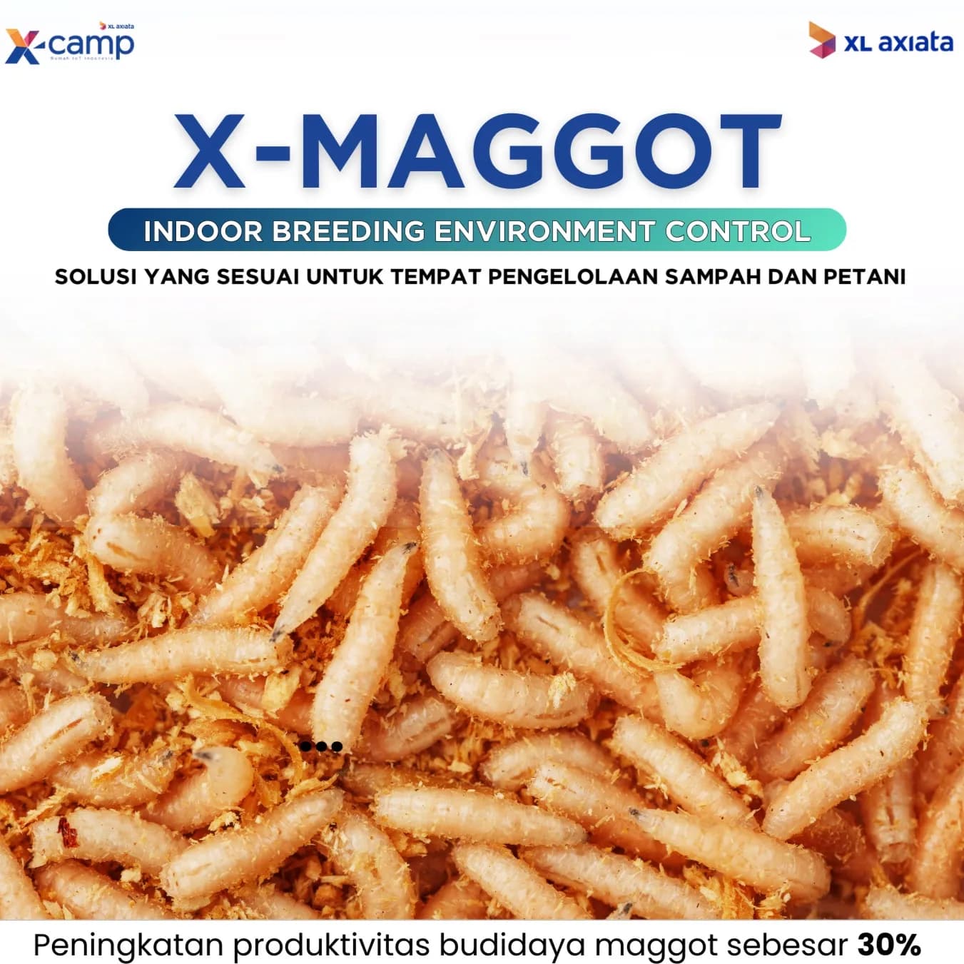 X-Maggot image 1