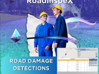 RoadInspeX