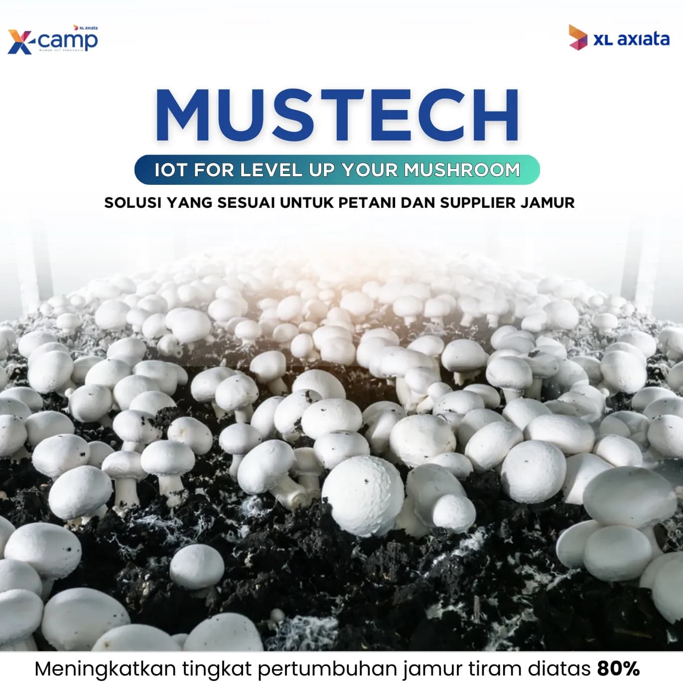 Mustech image 1