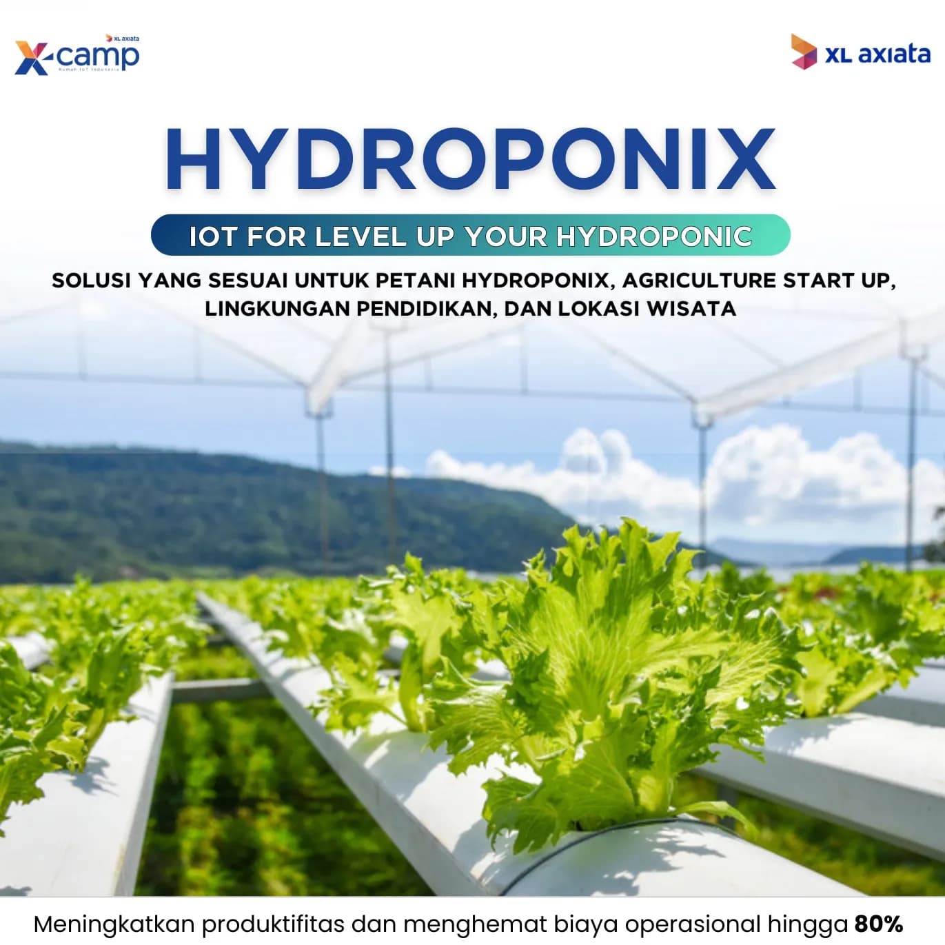 Hydroponix image 1